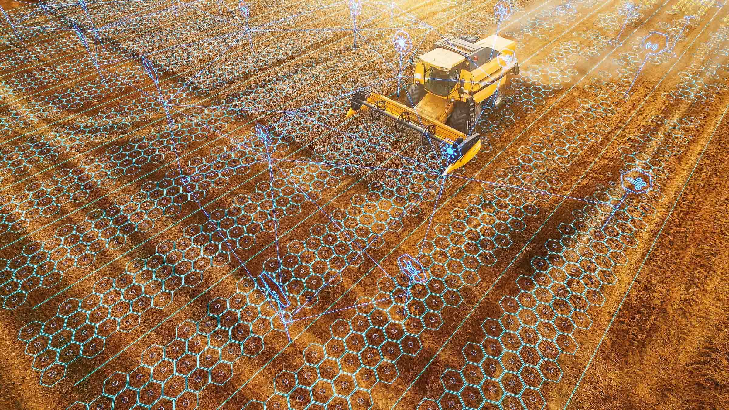 Künstliche Intelligenz in der Landwirtschaft